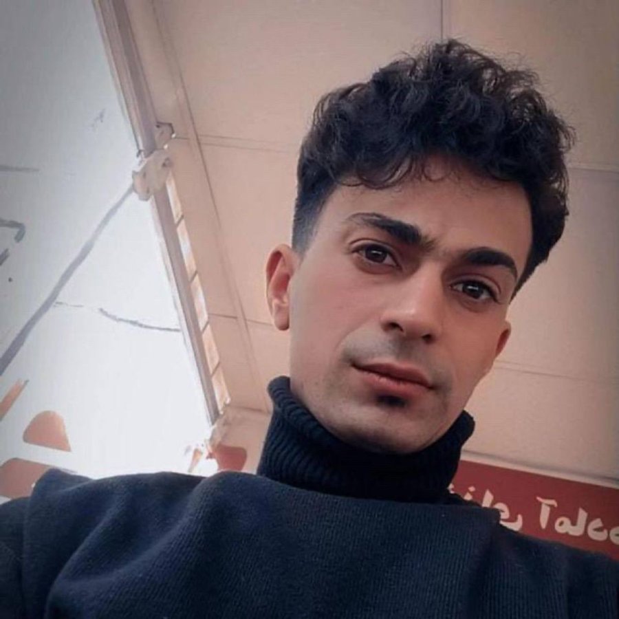 Seyyed Hamed Mirzadeh