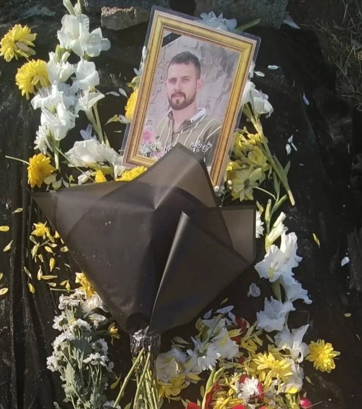 Alireza Safdel