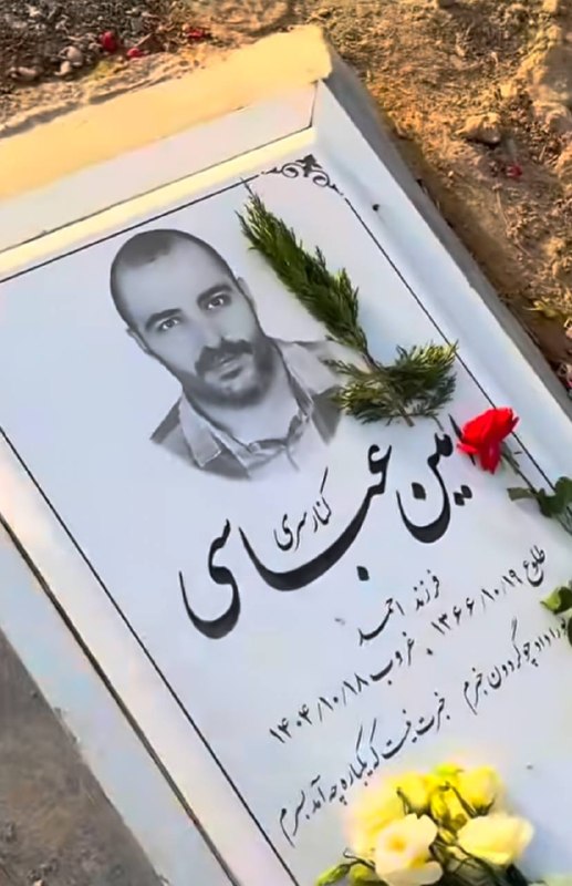Amin Abbasi Kenarsari