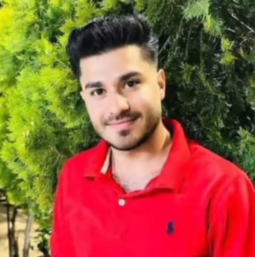 محسن چیتساز