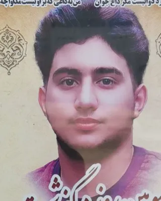 حمزه زینلی
