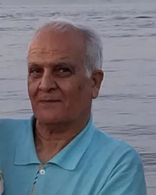 علی اللهیاربیکی