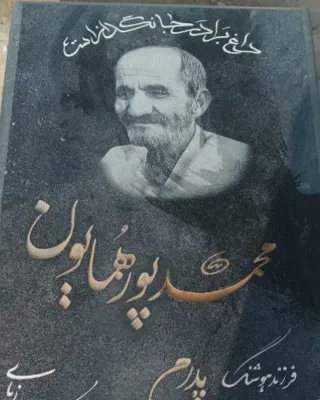 محمد پور همایون