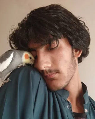 محسن اربابی