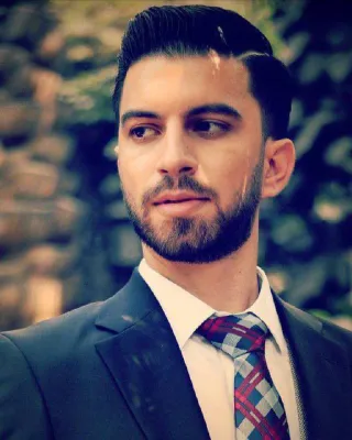 Seyed Hamed Hamidian