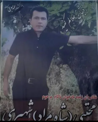 مجتبی شهپری