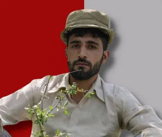 امیر نادری