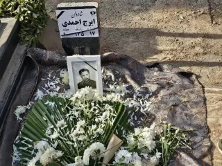 ایرج احمدی
