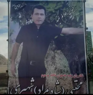 مجتبی شهپری