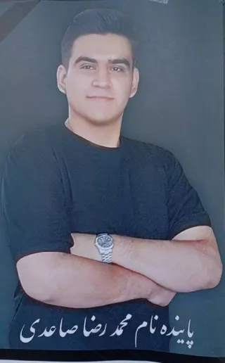 Mohammadreza Saeedi