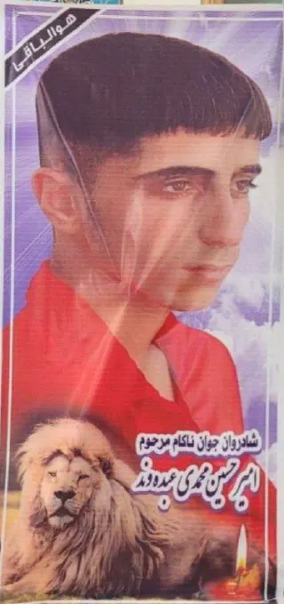 امیرحسین محمدی عبده‌وند