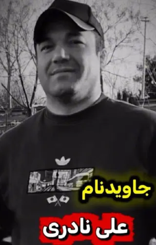 علی نادری
