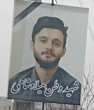 Milad Shahi Ghara Qasemloo