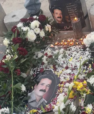 رضا کریمی