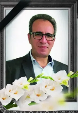 محسن دیان