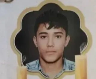 آرین عشقی