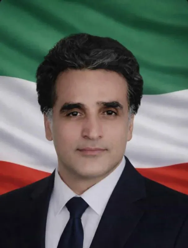 Davood Safaei