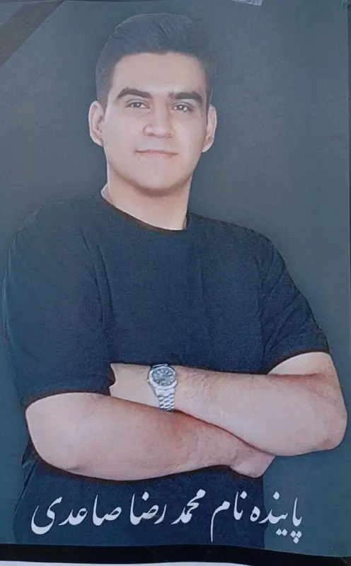 Mohammadreza Saeedi