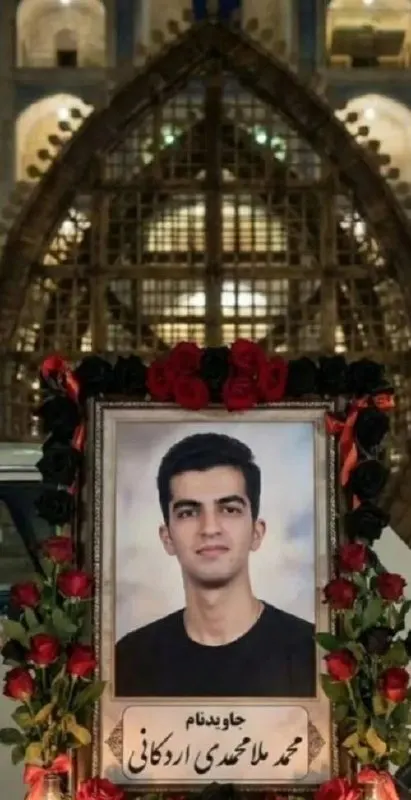 محمد ملامحمدی اردکانی