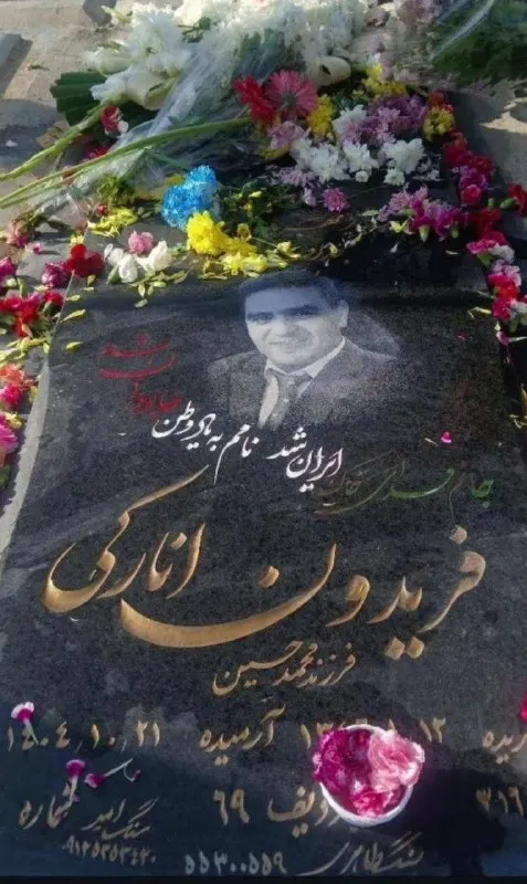 فریدون انارکی
