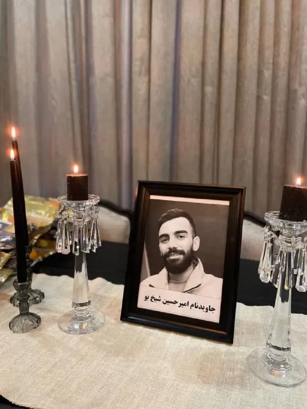 امیرحسین شیخ بو